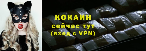 твердый Белокуриха