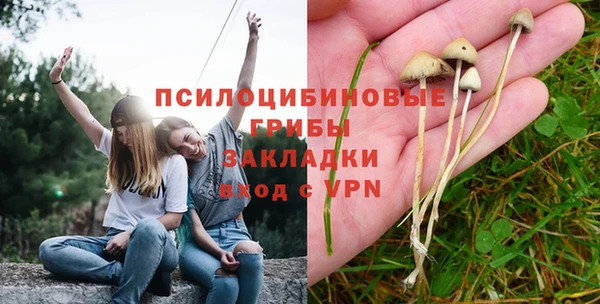 твердый Белокуриха