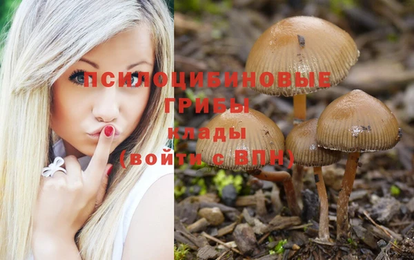 тгк Беломорск