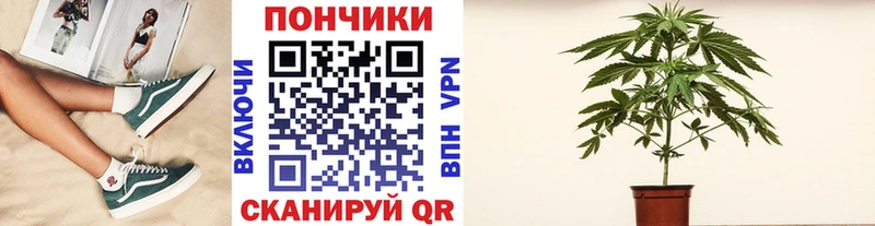 Конопля VHQ Окуловка